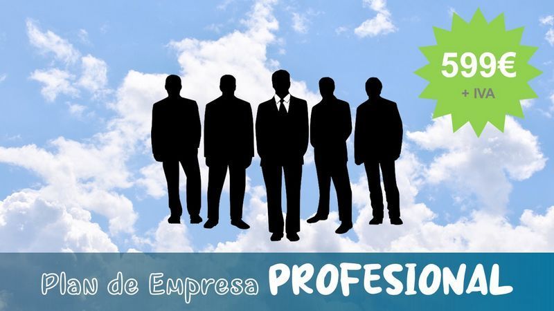Plan empresa profesional